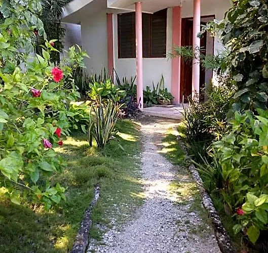 Aloha Oslob