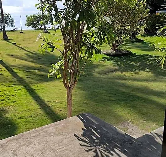 Aloha Oslob